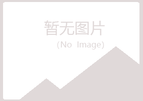 丽水字迹能源有限公司